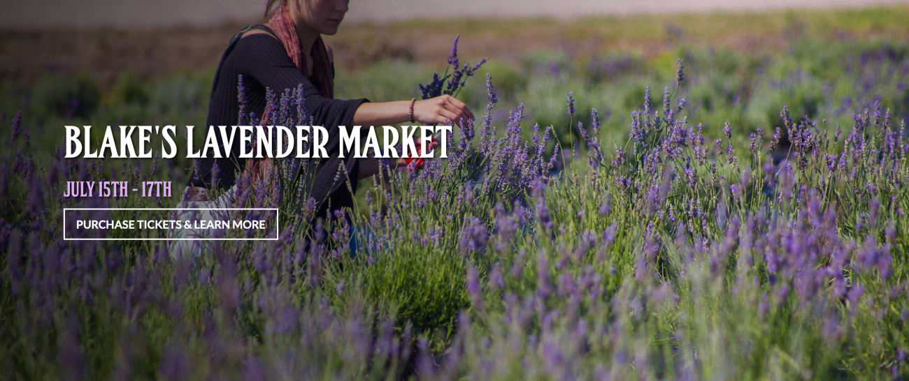 Blake's Lavender Market Michigan Farm Fun