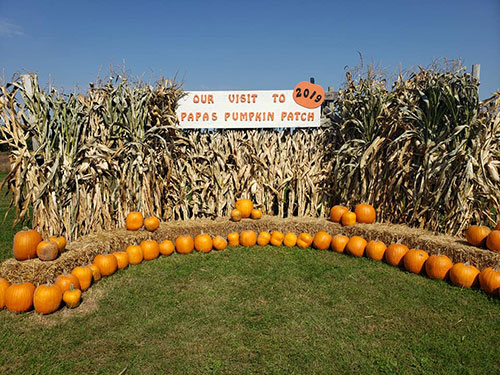 Papas Pumpkin Patch & Country Farm Market