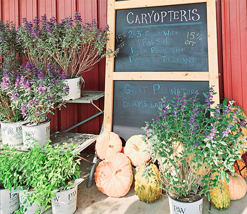 Gee Farms