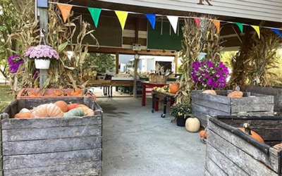 Kokx’s Produce