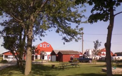 Weiss Centennial Farm and Frankenmuth Corn Maze