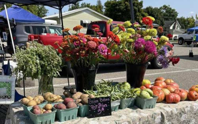 Gratiot MI Farmers Market