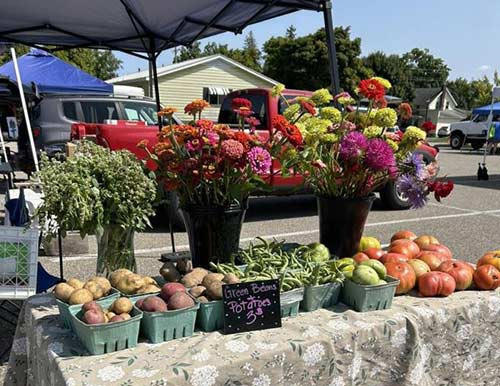 Gratiot MI Farmers Market