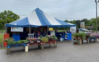 Barden’s Farm Market II