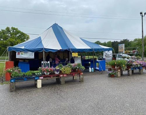 Barden’s Farm Market II