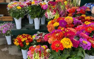 Bill’s Farm Market