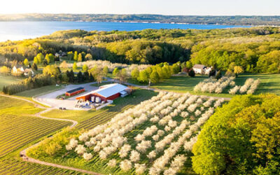 Black Star Farms – Old Mission