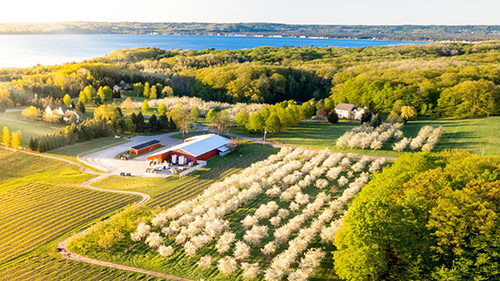 Black Star Farms – Old Mission