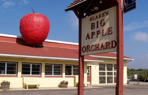 Blake’s Big Apple