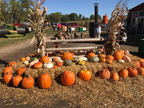 Blast Corn Maze at Nixon Farms