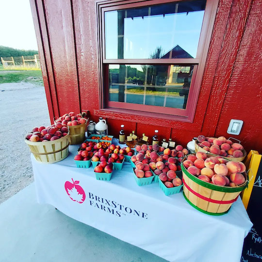 Brixstone Farms