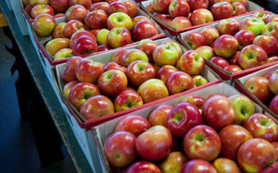 Brookwood Fruit Farm