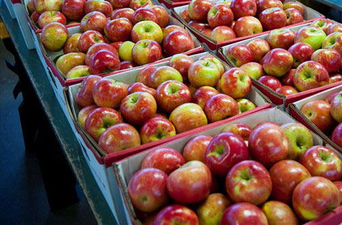 Brookwood Fruit Farm