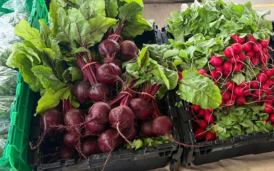 Cheboygan Farmers Market