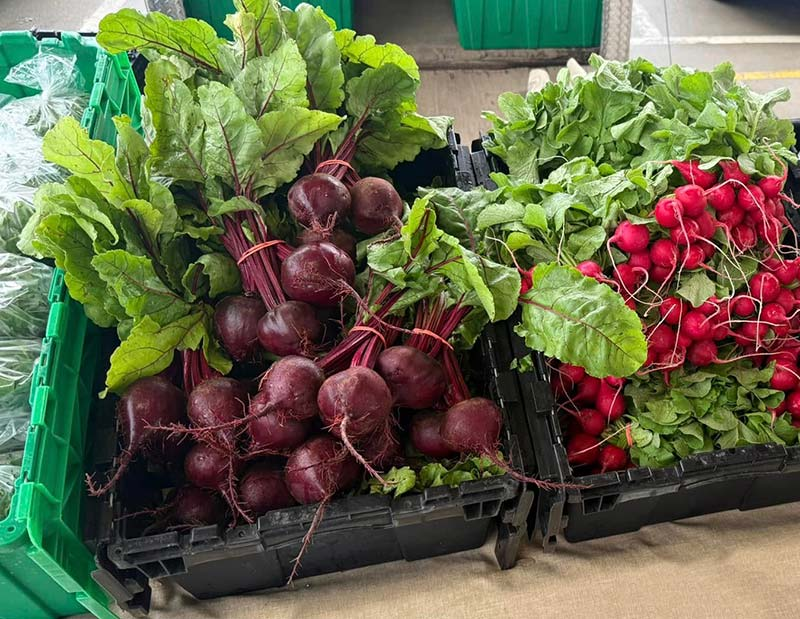 Cheboygan Farmers Market