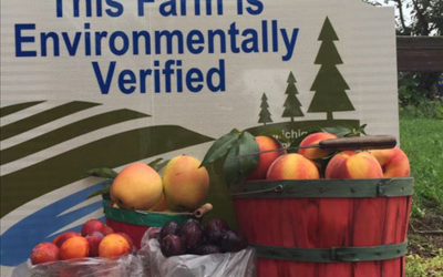 PM Family Farms