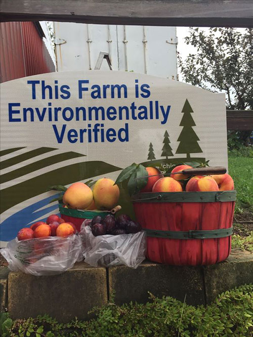 PM Family Farms