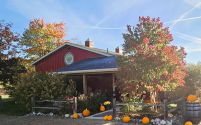 The Merry Hearted Cidery