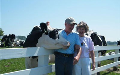 Country Dairy