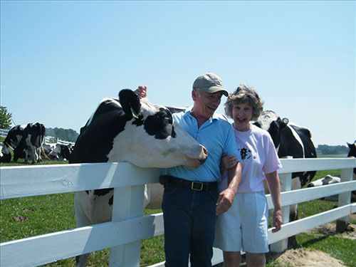 Country Dairy