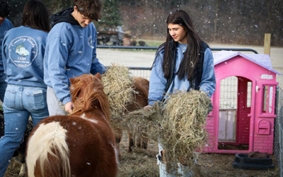 Country Roads Farm