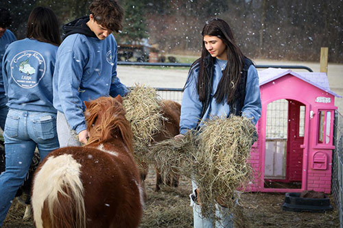 Country Roads Farm