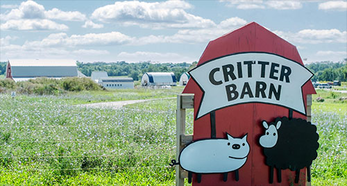 Critter Barn