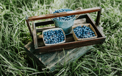 DeGrandchamp Farms