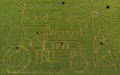 Dick Family Farm
