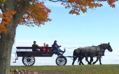 Fantail Farm LLC