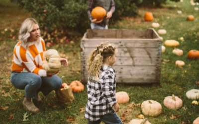 Farmhaus Farms