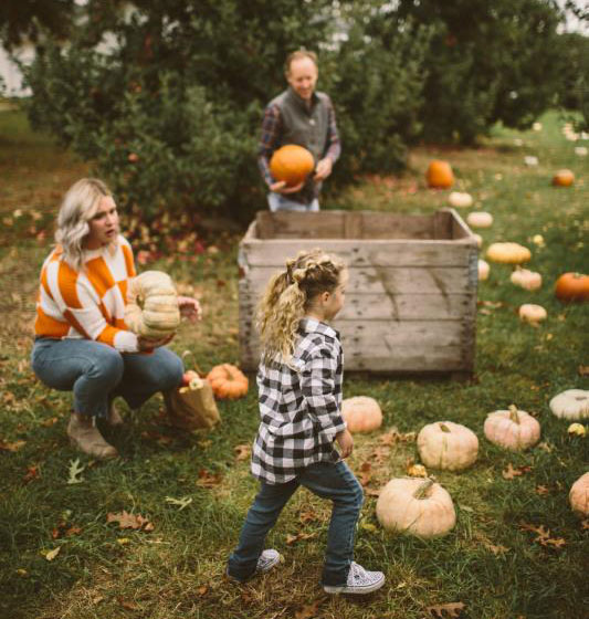Farmhaus Farms