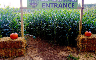 Flushing Farms