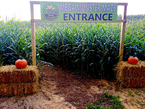 Flushing Farms