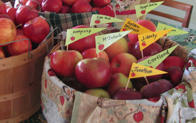 The Frosty Apple