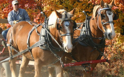 Fruit Ridge Hayrides