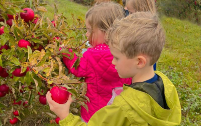 Gavin Orchards LLC