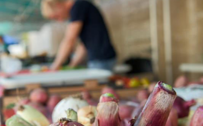 Gladstone Farmers Market