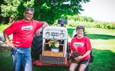 Hallstedt Homestead Cherries