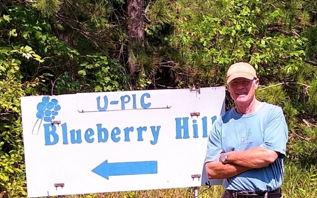 Harrietta’s Blueberry Hill