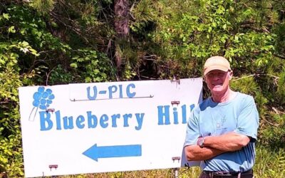 Harrietta’s Blueberry Hill