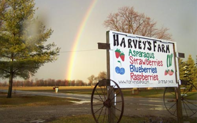 Harvey’s Farm