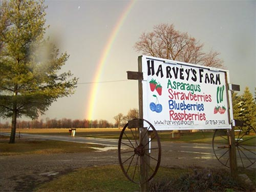Harvey’s Farm