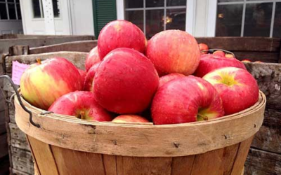 Hill Bros. Orchards & Cider Mill