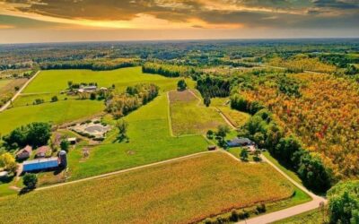 Hofer’s Corn Maze & Pumpkin Patch
