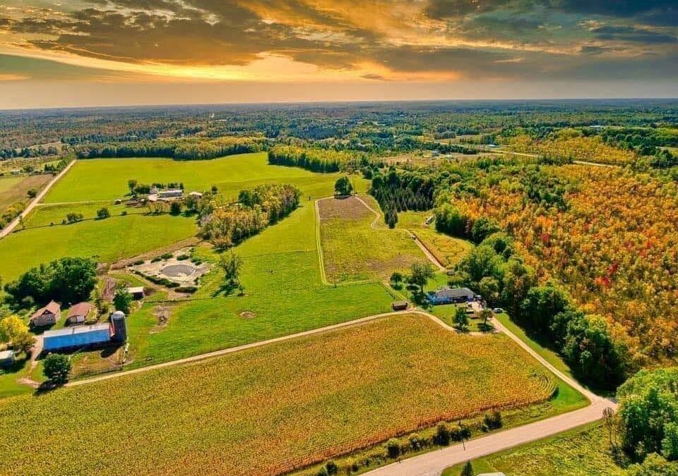 Hofer’s Corn Maze & Pumpkin Patch