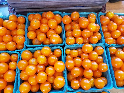 Hollywood Farms