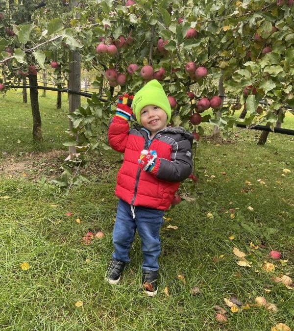 Starz Orchard