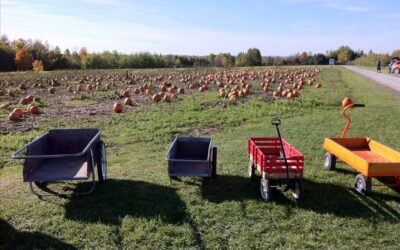 Golden River Orchard