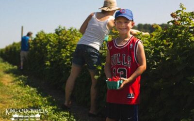 King Orchards U-Pick & Market